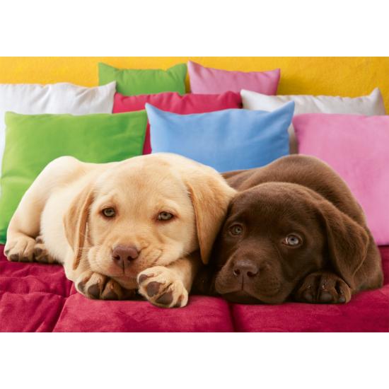 Ravensburger Labrador Puppies Puzzle 1000 pièces