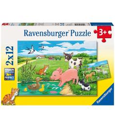 Ravensburger Chiots dans le champ Puzzle 2 x 12 pièces