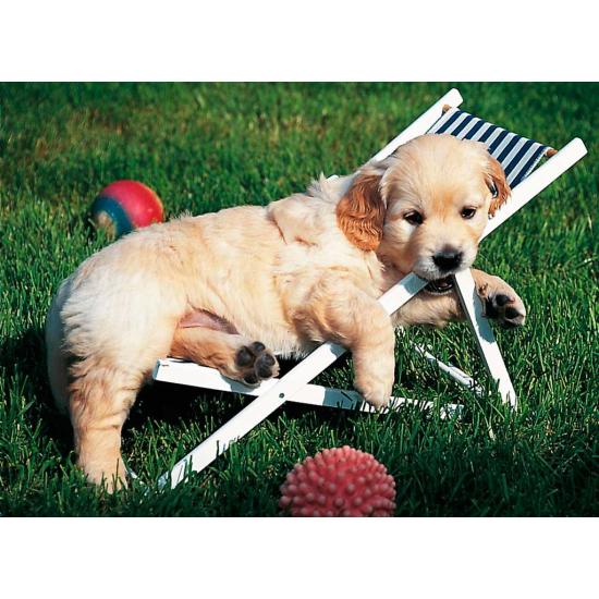 Ravensburger Puzzle Chiots Golden Retriever 500 pièces