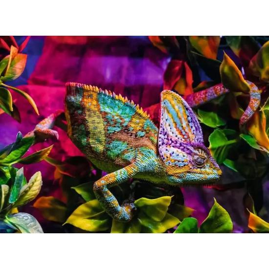 Puzzle Ravensburger Caméléon 500 Pièces