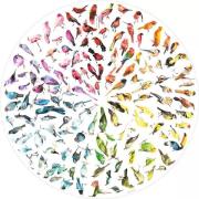 Puzzle de 500 pièces Ravensburger Oiseaux circulaires