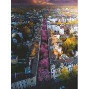 Ravensburger City of Bonn Puzzle fleuri 1500 pièces