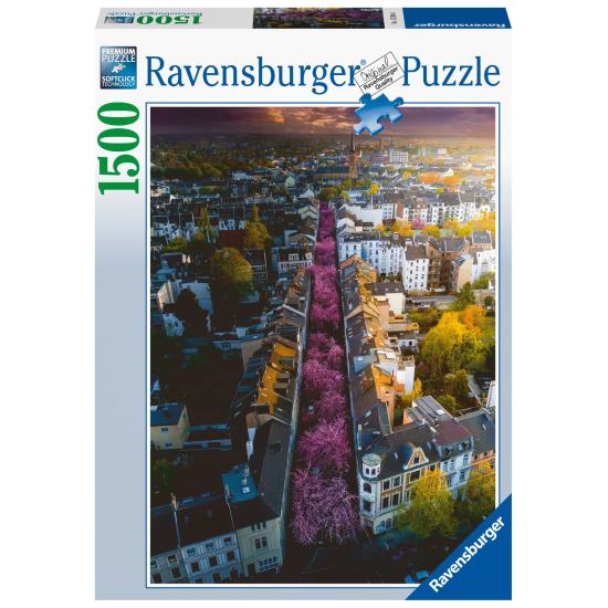 Ravensburger City of Bonn Puzzle fleuri 1500 pièces