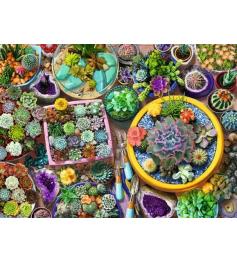 Puzzle Ravensburger Collection Cactus 500 Pièces