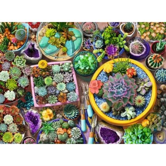 Puzzle Ravensburger Collection Cactus 500 Pièces