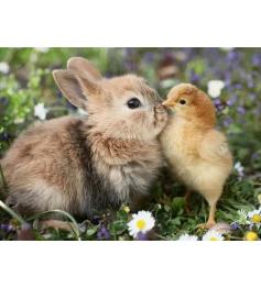 Puzzle Ravensburger Lapin Et Poussins 500 Pièces