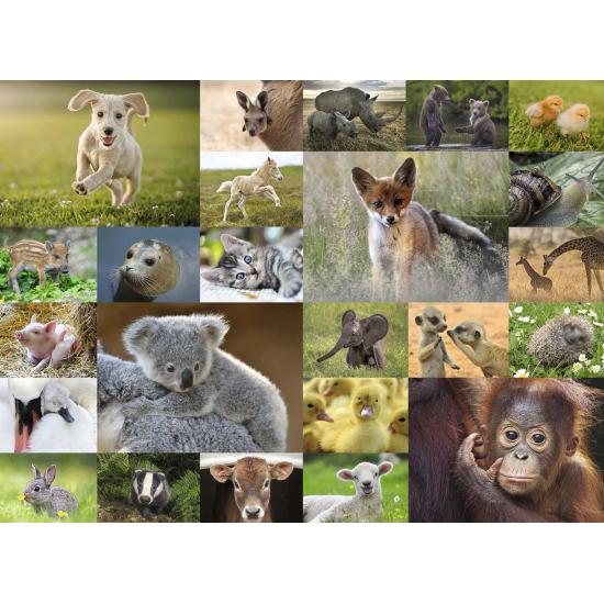 Puzzle Ravensburger Les Chiots du Monde XXL 200 mcx