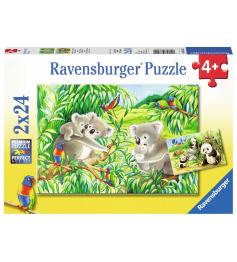 Ravensburger Puzzle Doux koalas et pandas 2x24 pièces