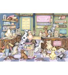 Puzzle Ravensburger Empório De Bastões Do Stanley 1000 pièces