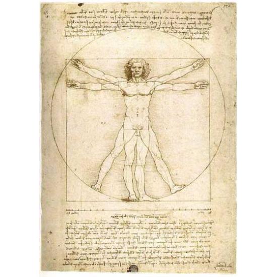 Ravensburger Puzzle L'Homme de Vitruve 1000 pièces