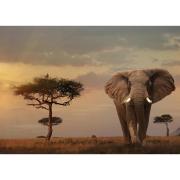 Ravensburger Éléphant du Masai Mara Puzzle 1000 pièces