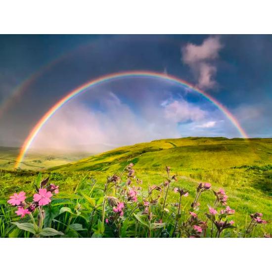 Puzzle Ravensburger Arc-en-ciel spectaculaire 1500 Pcs