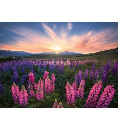 Ravensburger Lupins Puzzle 500 pièces