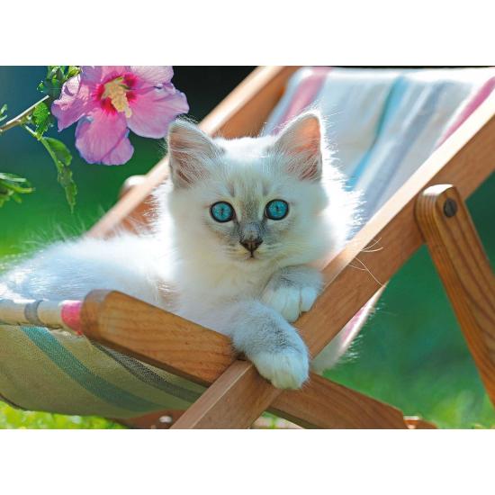 Puzzle Ravensburger Chaton blanc XXL 200P