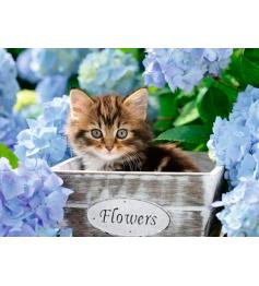 Ravensburger Puzzle chaton 300 pièces XXL