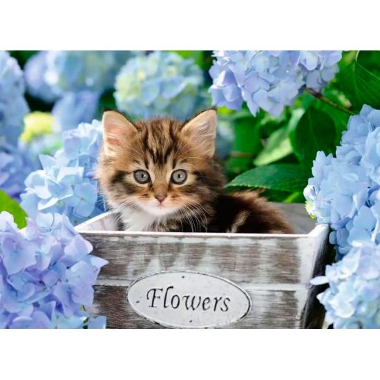 Ravensburger Puzzle chaton 300 pièces XXL