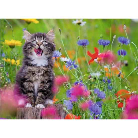 Ravensburger Puzzle Chaton dans une mer de fleurs 300 pièces XX