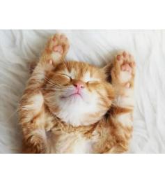 Puzzle Ravensburger Chaton Rêveur 500 Pièces