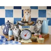 Puzzle Ravensburger Des Chatons Dans La Cuisine 1500 pièces