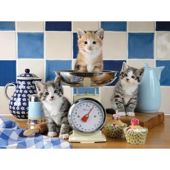 Puzzle Ravensburger Des Chatons Dans La Cuisine 1500 pièces