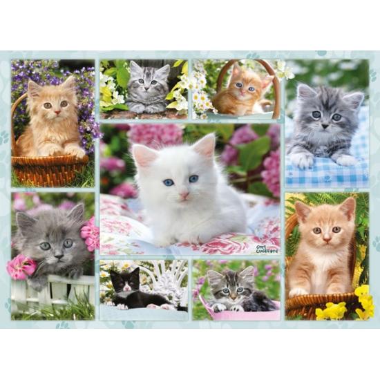 Ravensburger Puzzle Chatons dans les paniers 500 pièces
