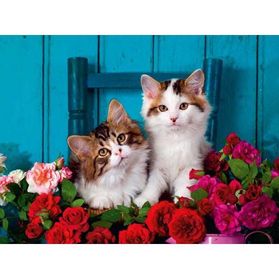 Ravensburger Puzzle Chatons et Roses 500 pièces XXL
