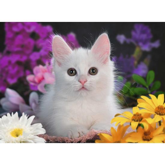 Ravensburger Puzzle Brilliant Cat XXL 100 pcs