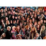 Ravensburger Défi Harry Potter Puzzle 1000 pièces