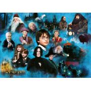 Ravensburger Harry Potter Puzzle 1000 pièces du monde des sorcie