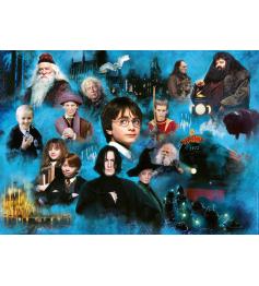 Ravensburger Harry Potter Puzzle 1000 pièces du monde des sorcie