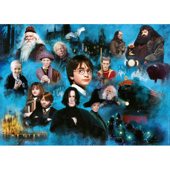 Ravensburger Harry Potter Puzzle 1000 pièces du monde des sorcie