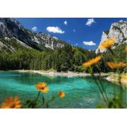 Puzzle Ravensburger Lac Vert Près De Tragöb 1000 pièces