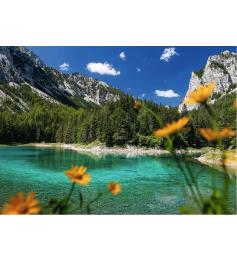 Puzzle Ravensburger Lac Vert Près De Tragöb 1000 pièces