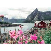 Ravensburger Lofoten, Norvège Puzzle 1000 pièces