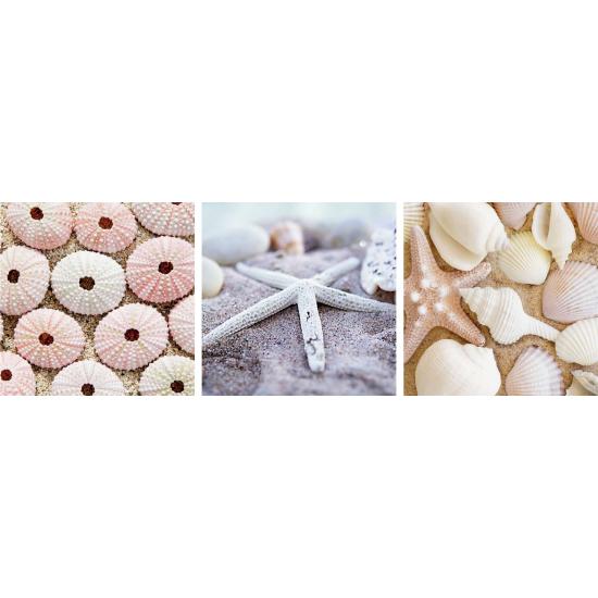 Puzzle Ravensburger Souvenirs de la mer 3 x 500 pièces