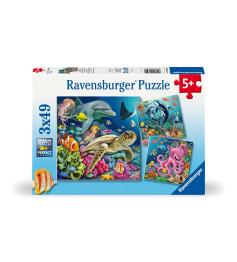 Puzzle Ravensburger Merveilles sous-marines 3x49 pièces