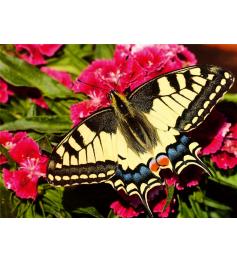 Puzzle Ravensburger Papillon 500 Pièces