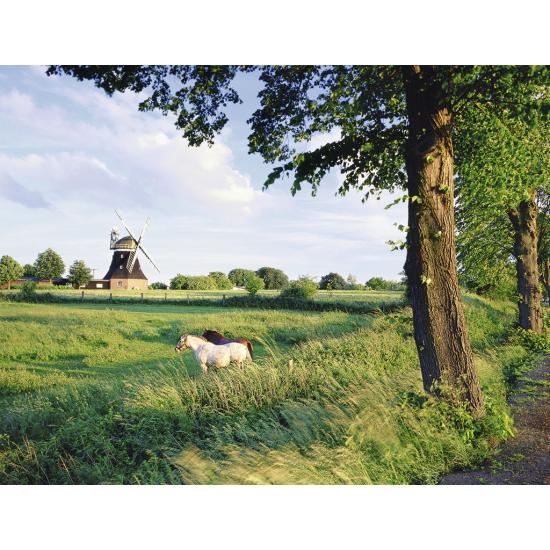 Ravensburger Mill in the Field Puzzle 2000 pièces