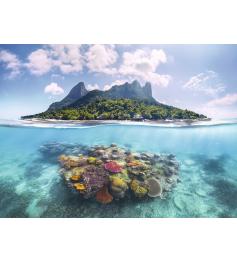 Puzzle Ravensburger Monde Insulaire Et Corallien 500 Pièces