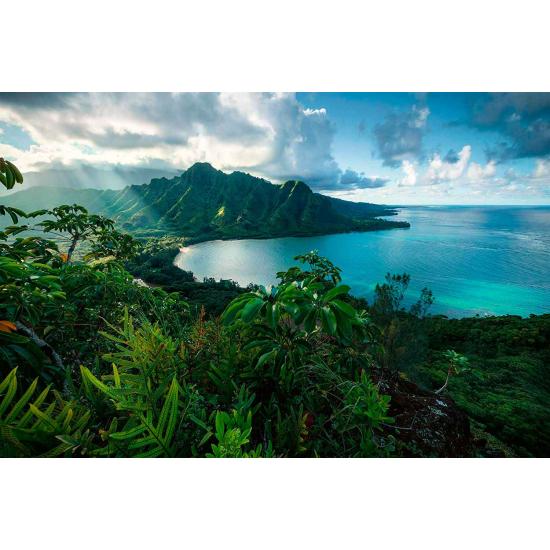 Ravensburger Paysage hawaïen Puzzle 5000 pièces Ravensburger Paysage hawaïen Puzzle 5000 pièces