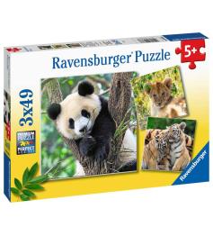 Puzzle Ravensburger Panda, Tigre et Lion 3x49 pièces