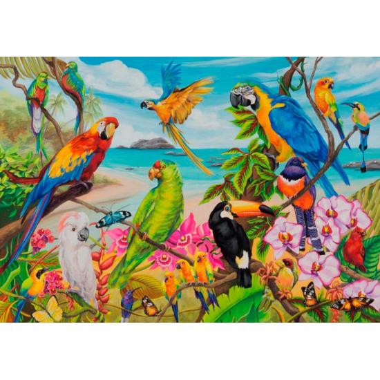 Ravensburger Puzzle Perroquets colorés 1000 pièces