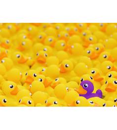 Ravensburger Puzzle Canards en caoutchouc 1000 pièces