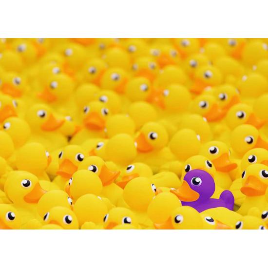 Ravensburger Puzzle Canards en caoutchouc 1000 pièces