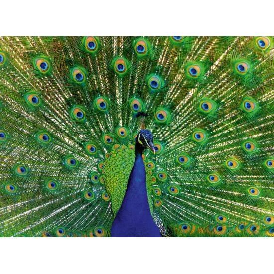 Puzzle Ravensburger Paon 500 pièces Puzzle Ravensburger Paon 500 pièces
