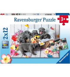 Ravensburger Puzzle Petites boules de poils 2x12 pièces