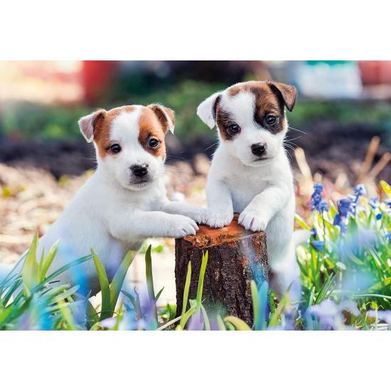 Ravensburger Puzzle Petites boules de poils 2x12 pièces