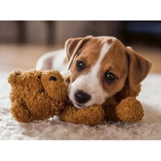 Puzzle Ravensburger Chiot Avec Ours En Peluche 500 Pièces