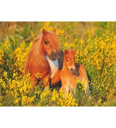 Puzzle Ravensburger Poney Shetland XXL 100 pièces