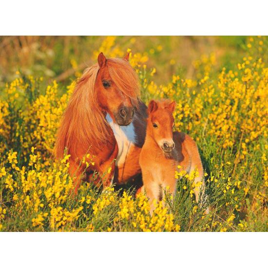 Puzzle Ravensburger Poney Shetland XXL 100 pièces